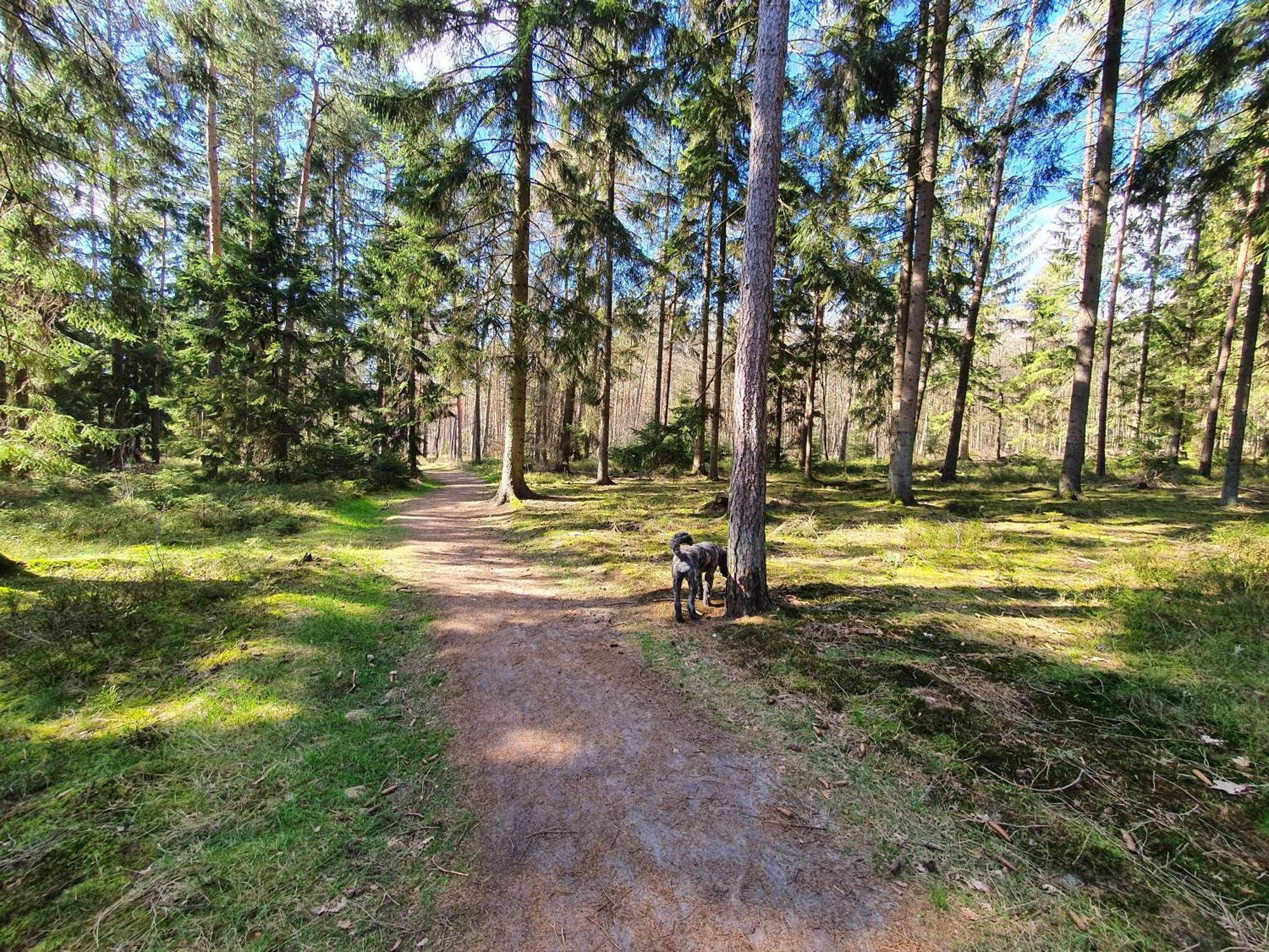 Ferienwohnung Schuberski Lipperreihe Exterior foto